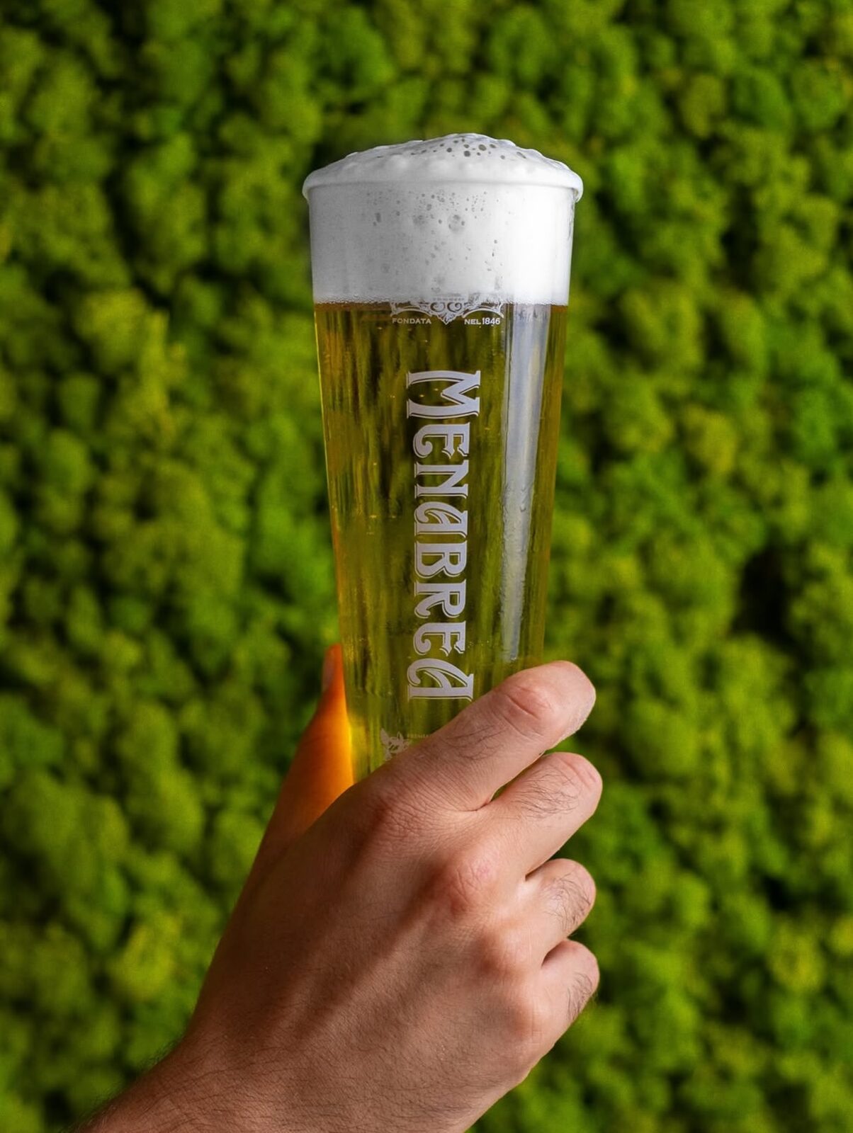 A glass of Menabrea on tap against the moss wall