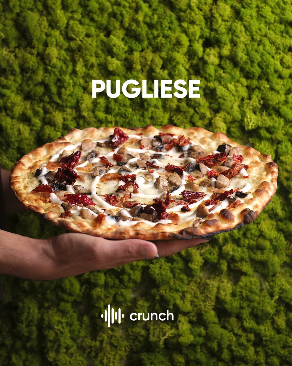 The Pugliese pizza on moss